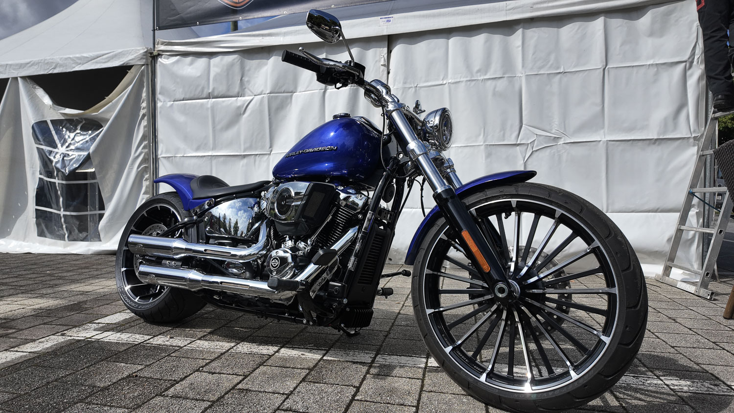 DJI 20250829110100 0271 D.jpg